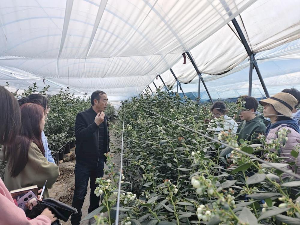 17dce6be72e24ff082806ebcafc9aae3.Jpeg 17dce6be72e24ff082806ebcafc9aae3.Jpeg