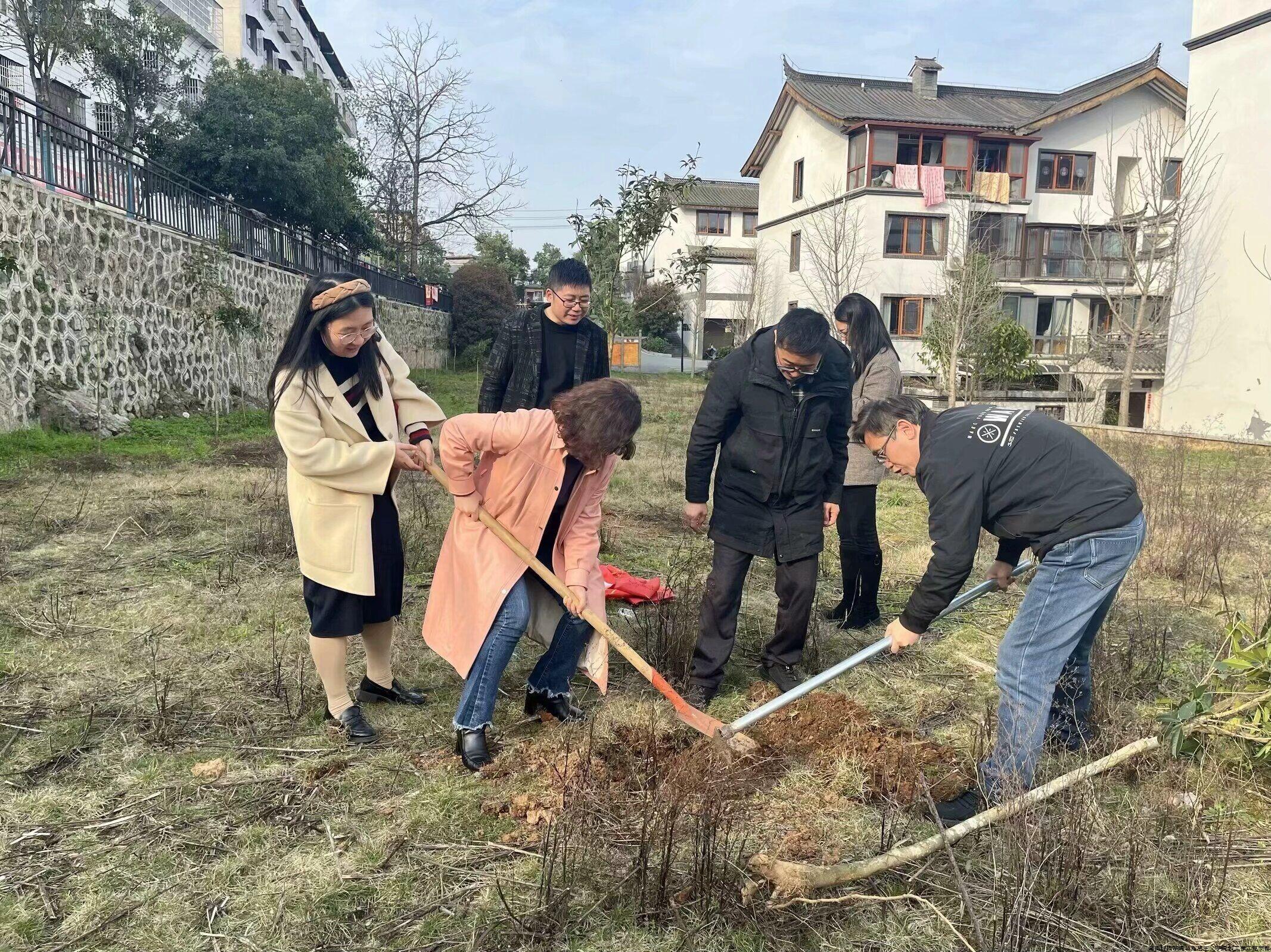 20240320柳子街社区植树 (2).jpg
