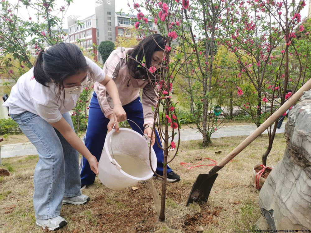 图片5.png 图片5.png