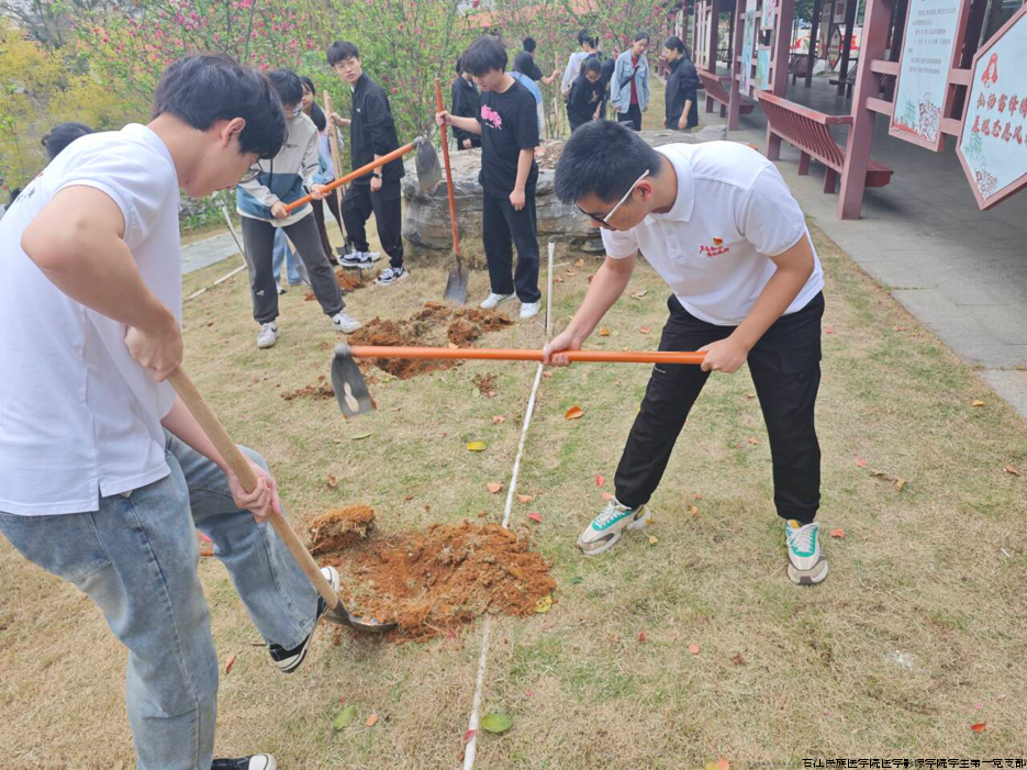 图片6.png 图片6.png