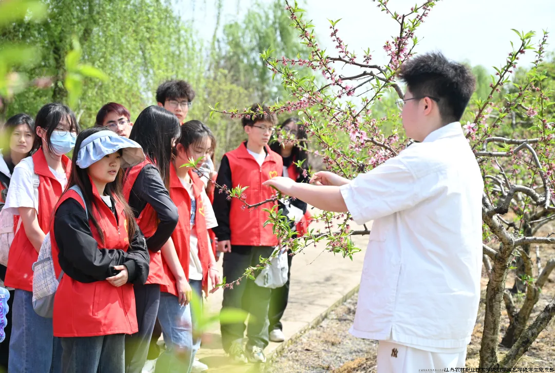 QQ图片20240413190101.png