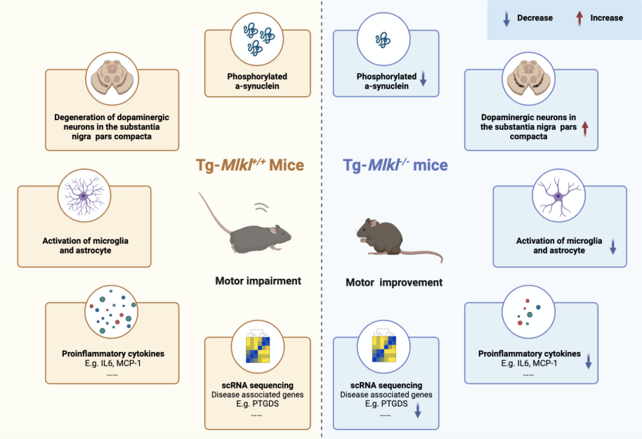 微信图片_20231208185450.png 微信图片_20231208185450.png