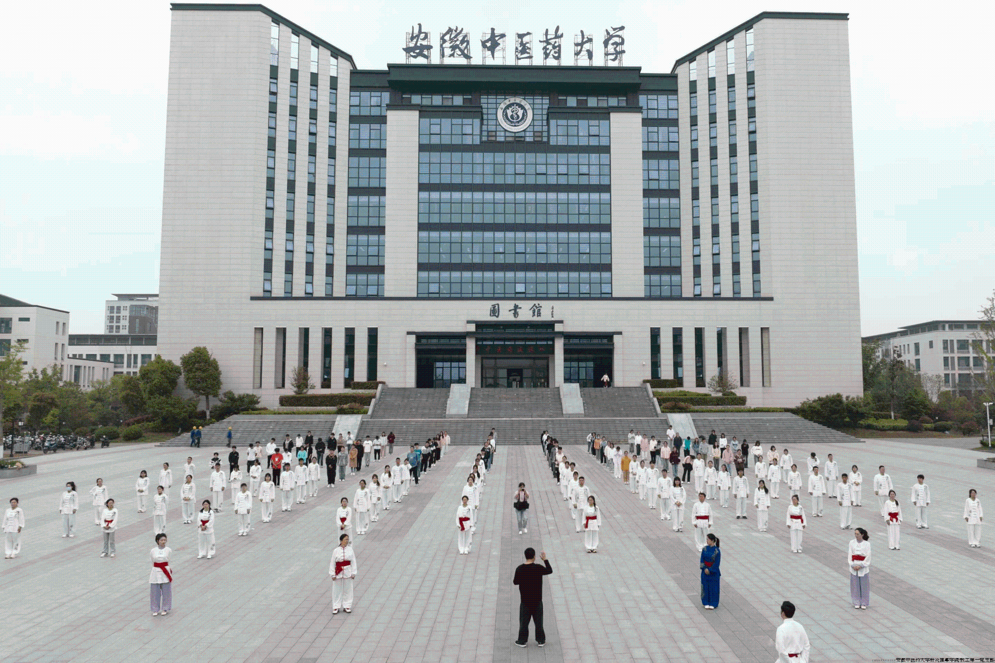 图片5.png