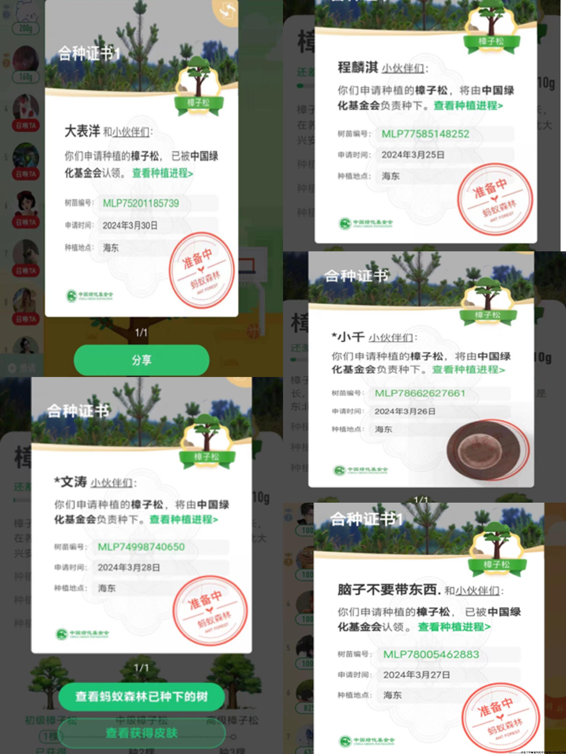合种证书.jpg