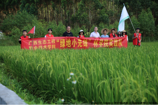 实践团在竹山村调查水稻田施肥情况.png