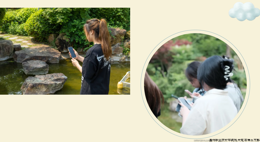 图片5.png 图片5.png