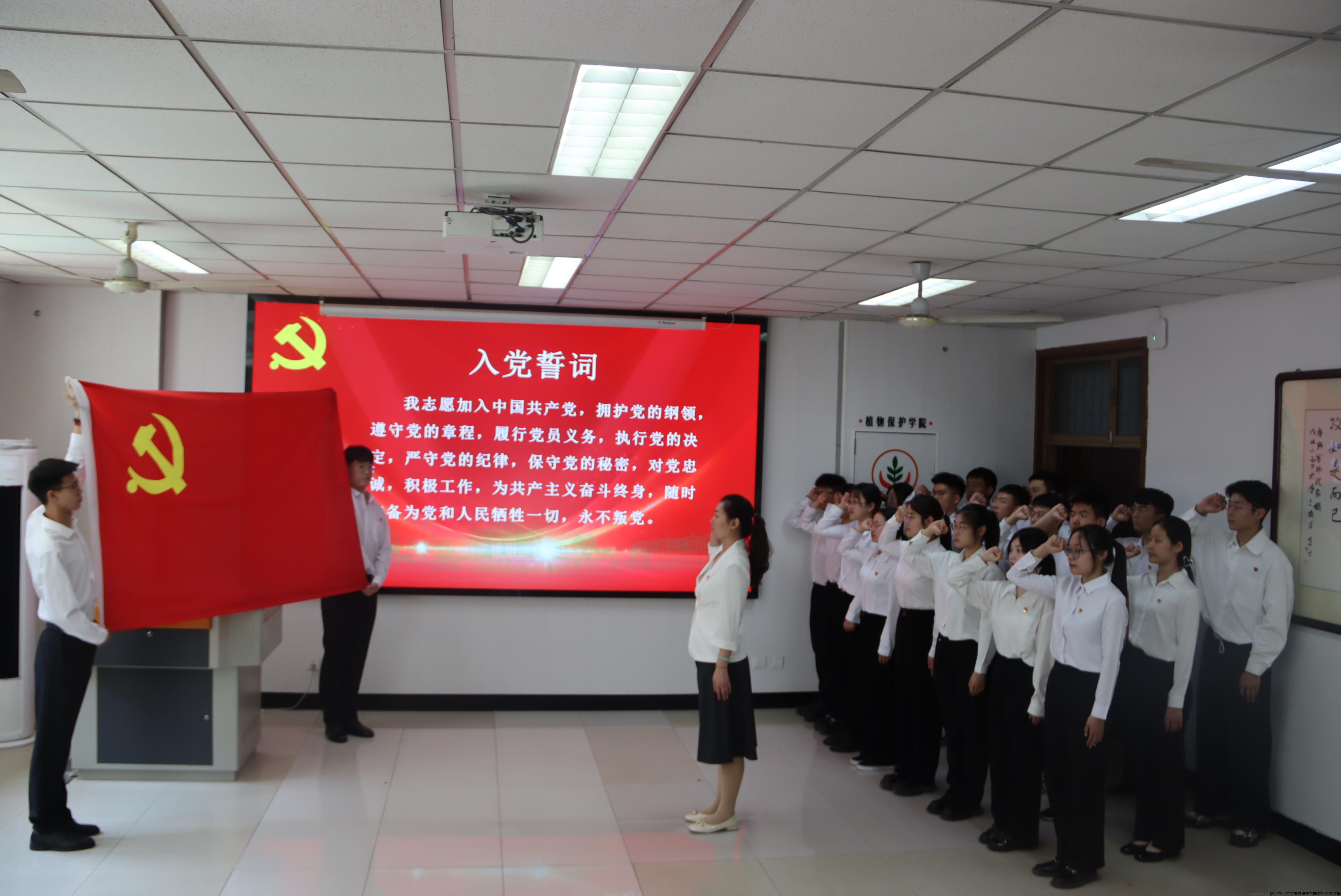 全体党员宣誓.JPG
