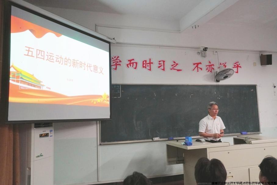 青马.jpg