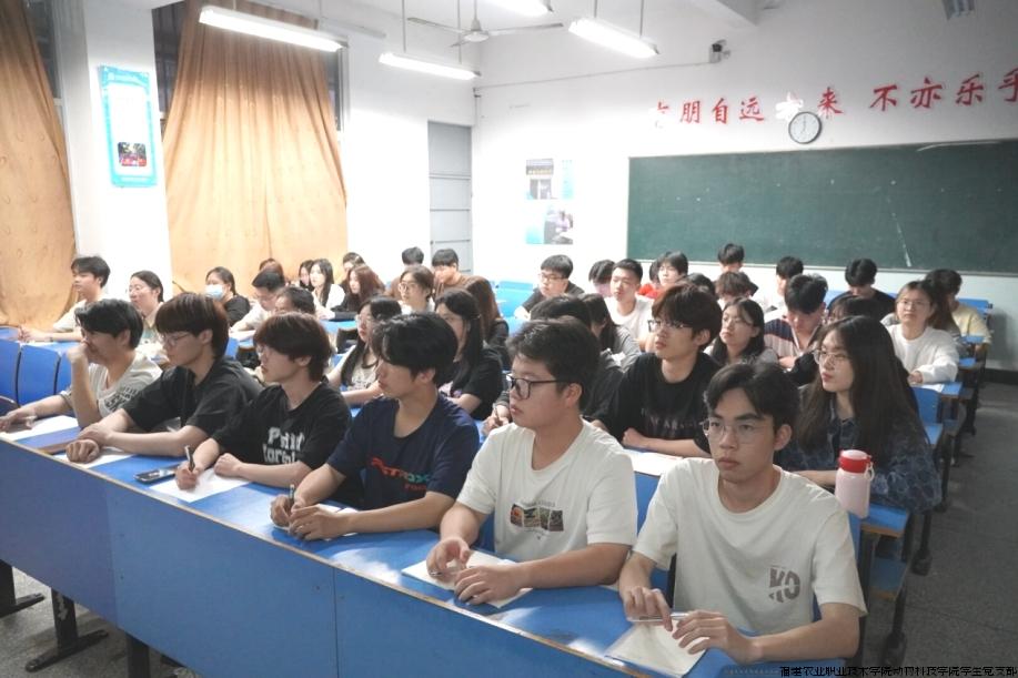 青马1.jpg
