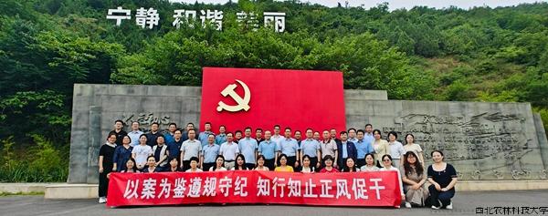 机关.jpg