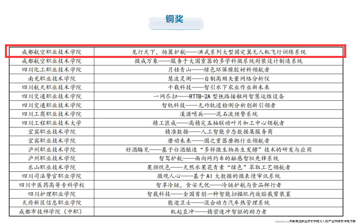 项目《龙行天下，扬翼护航》荣获铜奖.png