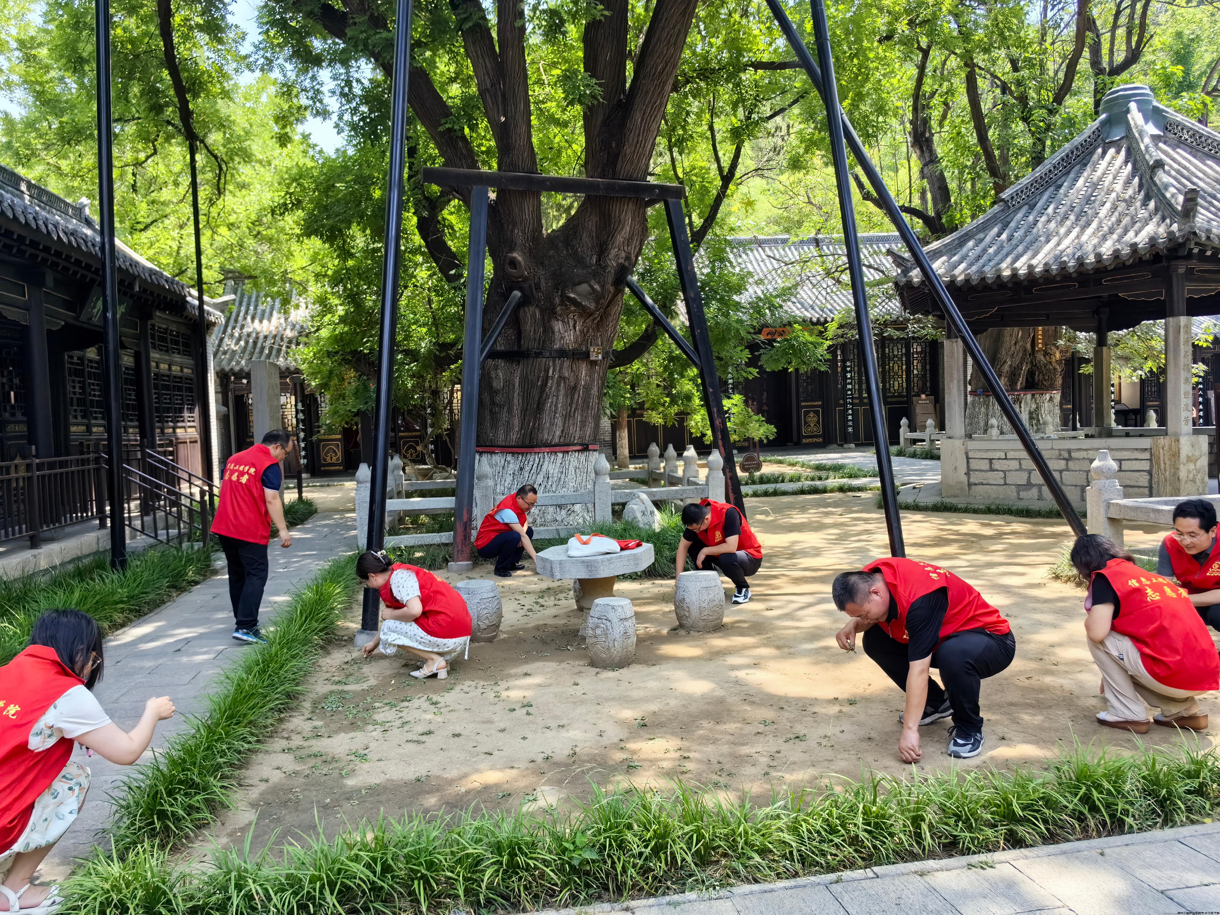 志愿服务.jpg