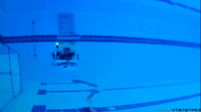 6.gif