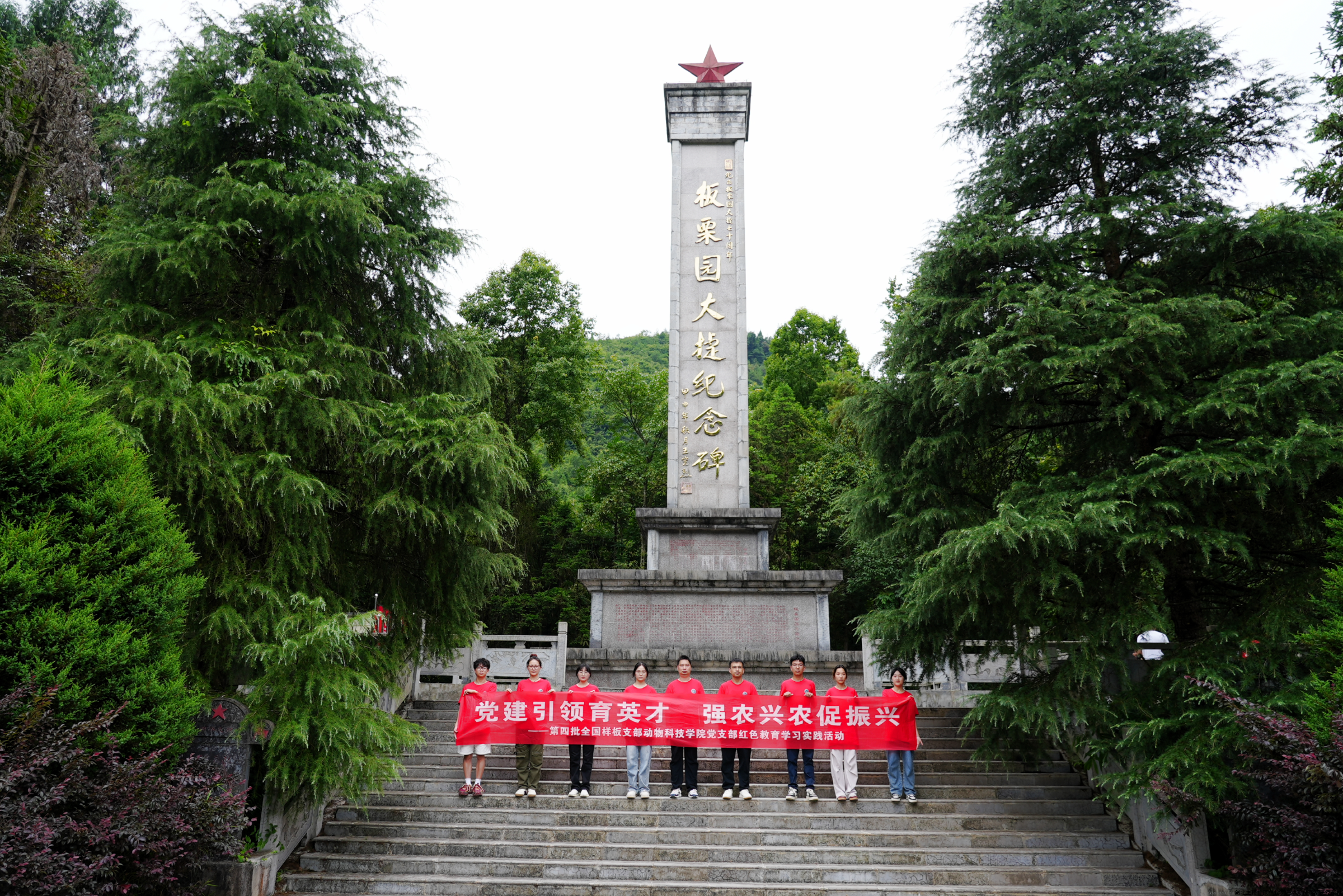 图片1.png