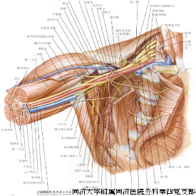 图片 2-2.png 图片 2-2.png