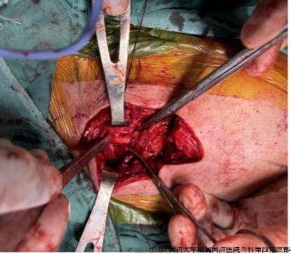 图片 3.jpg 图片 3.jpg