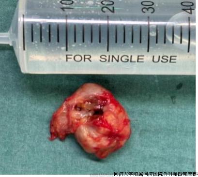 图片 4.jpg 图片 4.jpg