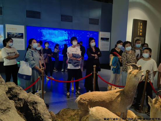 图片3.png 图片3.png