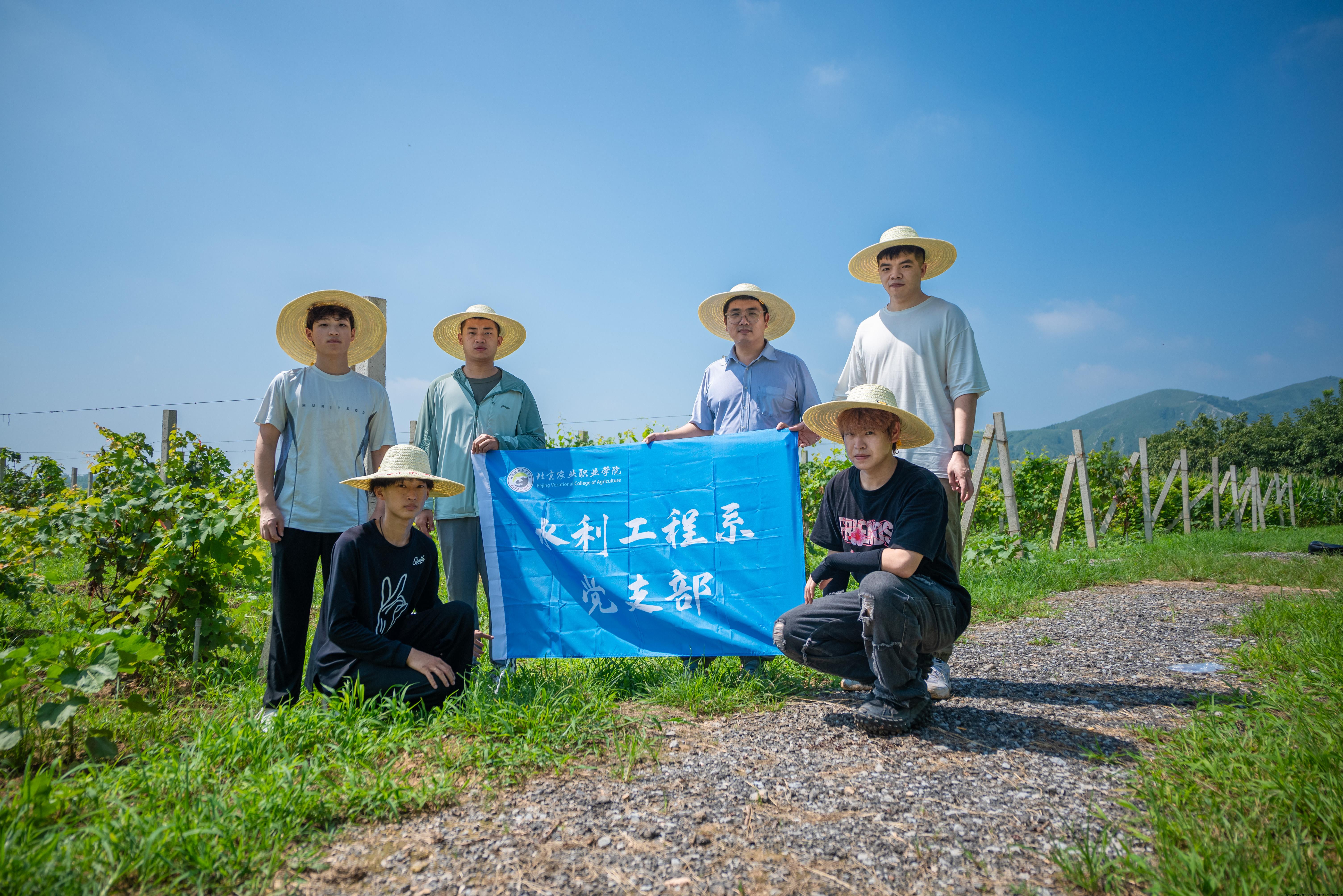 团队师生调研孤山口村葡萄产业并拍摄宣传视频.jpg