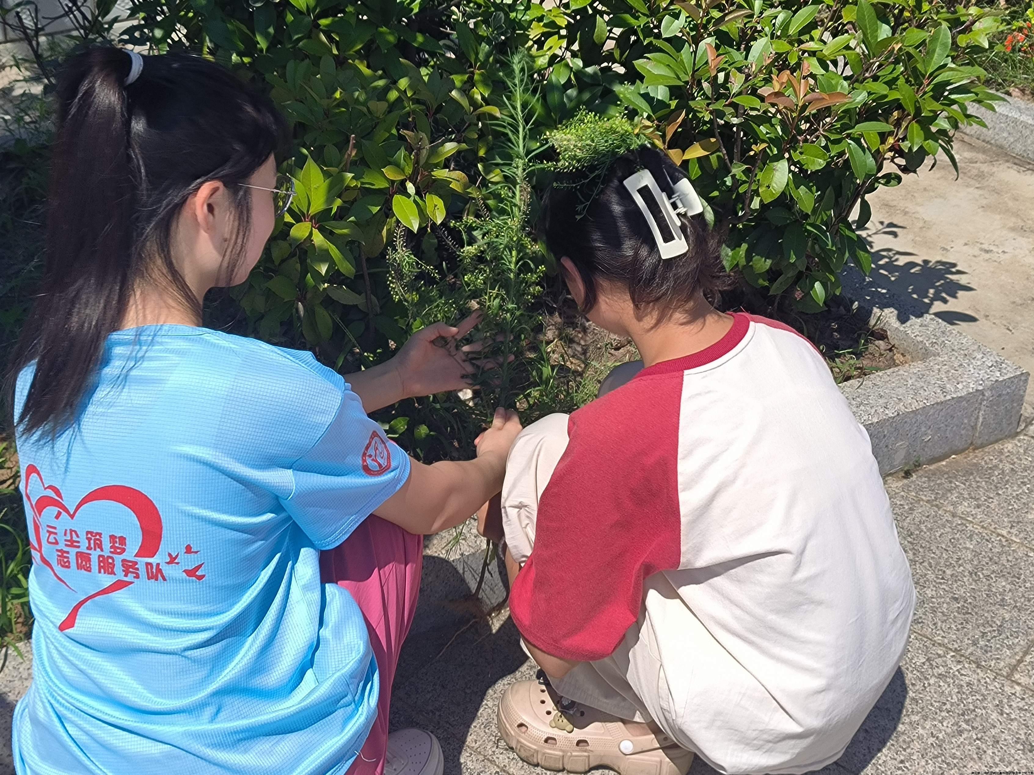 图为生物课上志愿者与小朋友探索校园植物。左凡玉 供图.jpg