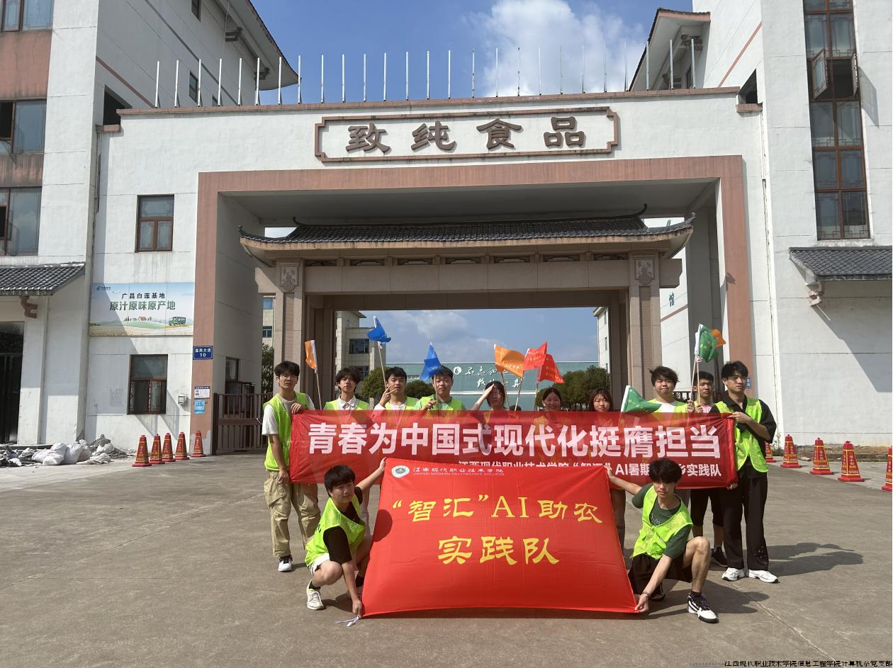 图片8