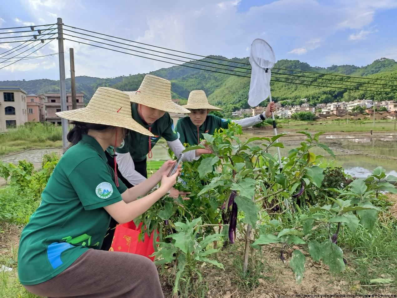 图1.调研农作物的病虫害情况.jpg