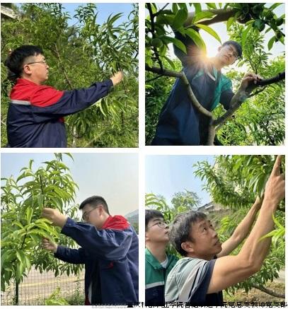 图片2.jpg 图片2.jpg