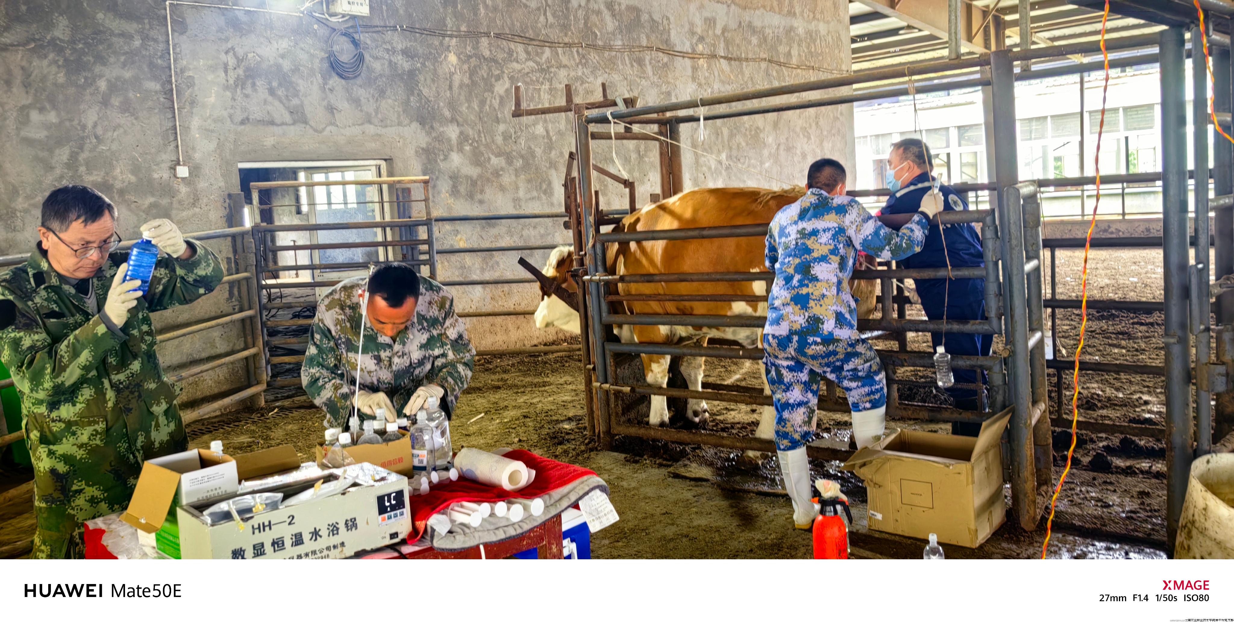 冲胚现场(一).jpg 冲胚现场(一).jpg