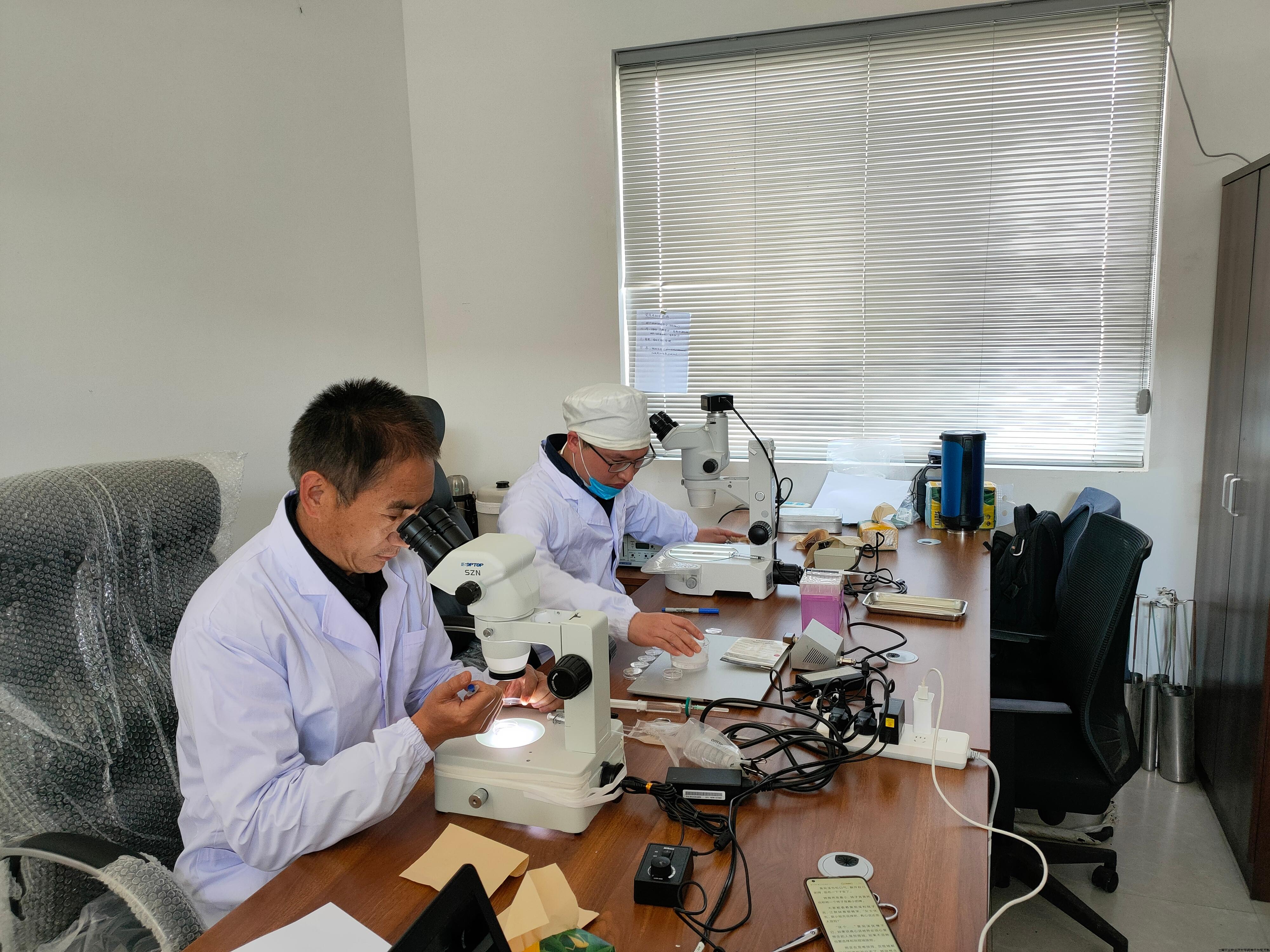 镜检现场(二).jpg 镜检现场(二).jpg