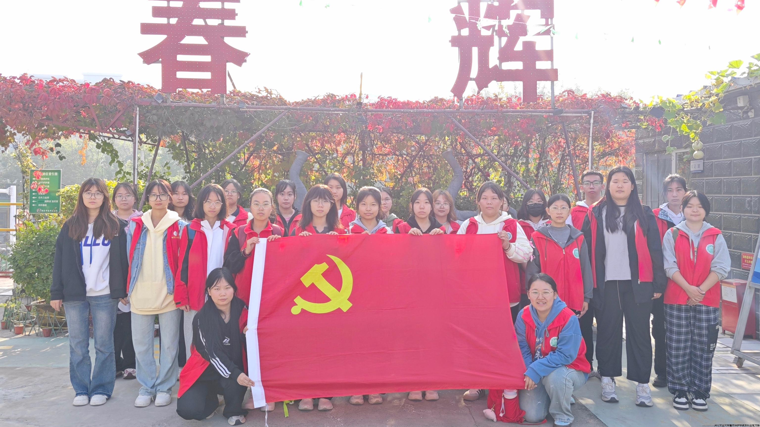 党旗.jpg