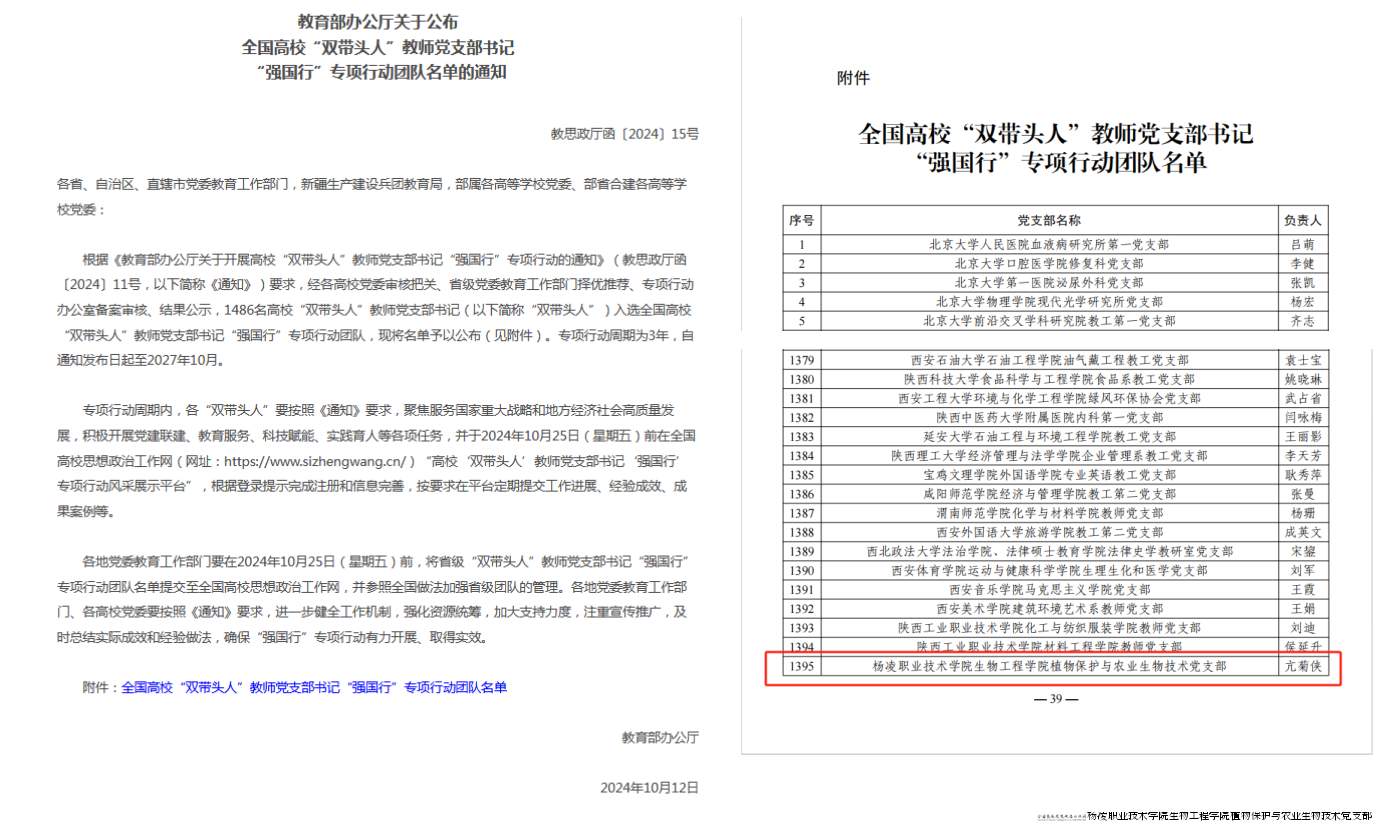强国行名单.png