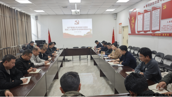 校产管理处党支部深入学习贯彻党的二十届四中全会精神